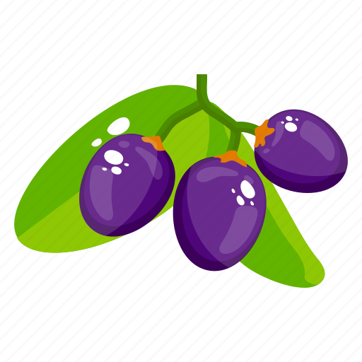 Black cherries, edible, fresh fruit, fruit, healthy diet, healthy food icon - Download on Iconfinder
