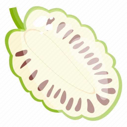 Durian, edible, fresh fruit, fruit, healthy diet, healthy food icon - Download on Iconfinder
