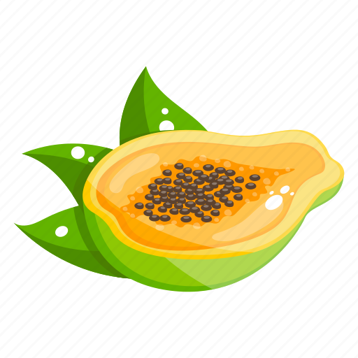 Edible, fresh fruit, fruit, healthy diet, healthy food, papaya icon - Download on Iconfinder