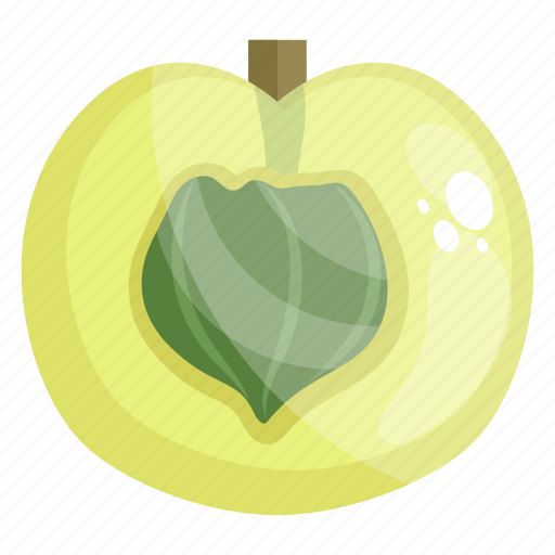 Amla, edible, fresh fruit, fruit, healthy diet, healthy food icon - Download on Iconfinder