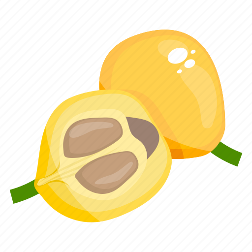 Edible, fresh fruit, fruit, healthy diet, healthy food, loquat icon - Download on Iconfinder