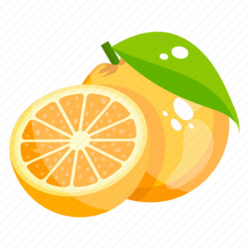 Citrus, food, fruit, healthy diet, orange icon - Download on Iconfinder