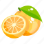 citrus, food, fruit, healthy diet, orange 