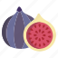fig 