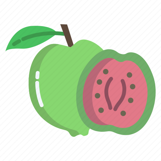 Guava icon - Download on Iconfinder on Iconfinder