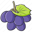 grape, fruit, food, dessert, sweet, healthy, purple