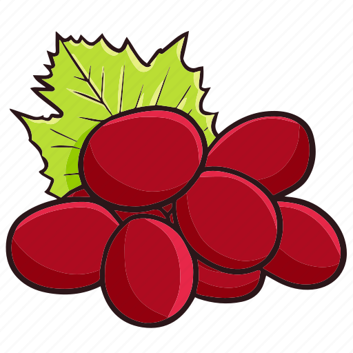 Grape, fruit, food, healthy, dessert, sweet, fresh icon - Download on Iconfinder