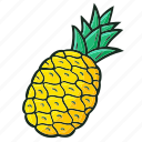 pineapple, fruit, food, tropical, dessert, healthy, summer