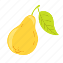 fruts, pear, fruit, illustration, food, ingredient, vegetarian