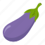 eggplant, vegetable, illustration, food, ingredient, vegetarian, fruit 