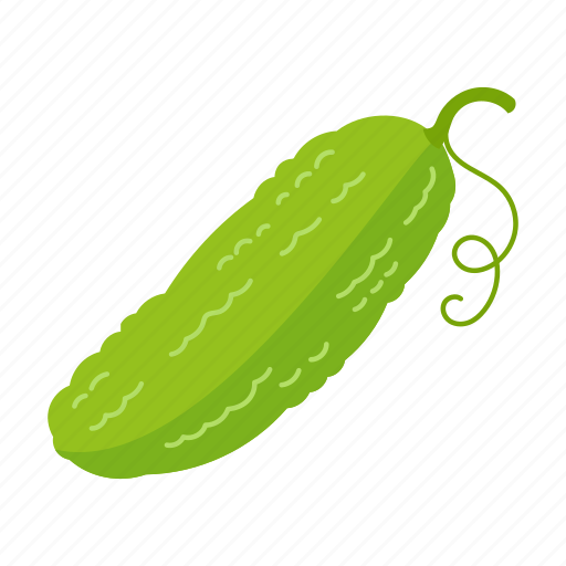 Fruts, cucumber, vegetable, illustration, food, ingredient, vegetarian icon - Download on Iconfinder