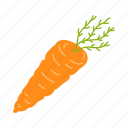 carrot, vegetable, illustration, food, ingredient, vegetarian, fruit