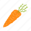 carrot, vegetable, illustration, food, ingredient, vegetarian, fruit 