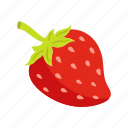 fruts, strawberry, berry, fruit, illustration, food, ingredient, vegetarian
