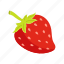 fruts, strawberry, berry, fruit, illustration, food, ingredient, vegetarian 