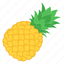 fruts, pineapple, fruit, illustration, food, ingredient, vegetarian