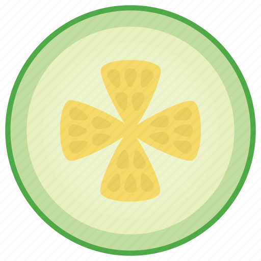 Cucumber, food, healthy diet, raw food, vegetable food icon - Download on Iconfinder