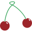 cherry, fruit 