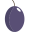 fruit, plum 