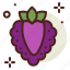 boysenberry, food, fresh, healthy, juice, raspberry 