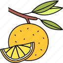 lemon, fruit, citrus, aromatic