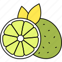 lime, fruit, citrus, aromatic