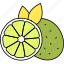 lime, fruit, citrus, aromatic 