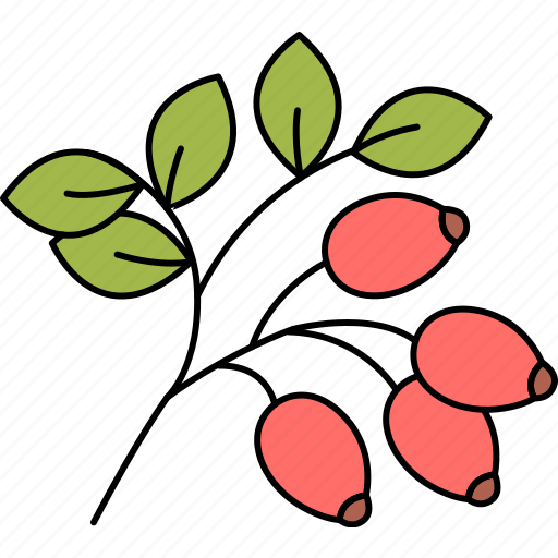Rosehip, vitamin, berries icon - Download on Iconfinder