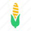 american, corn, food, grain, maize, sweet, vegetable 