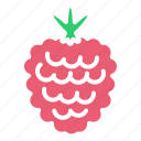 berry, fruit, raspberry