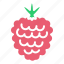 berry, fruit, raspberry 