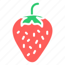 berry, fruit, strawberry 