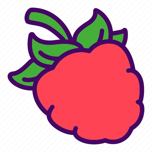 Berry, food, raspberries, raspberry icon - Download on Iconfinder
