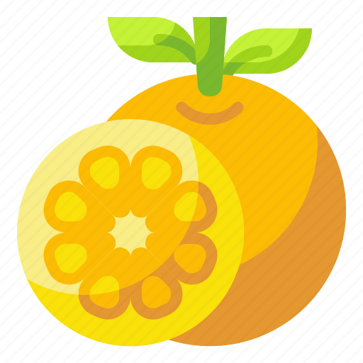 Food, fruit, orange, organic, vegetarian icon - Download on Iconfinder