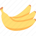 banana, bananas, fruit, healthy, organic 