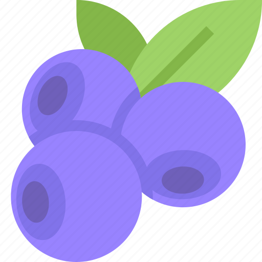 Blueberries, food, fruit, healthy, organic icon - Download on Iconfinder