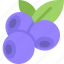 blueberries, food, fruit, healthy, organic 