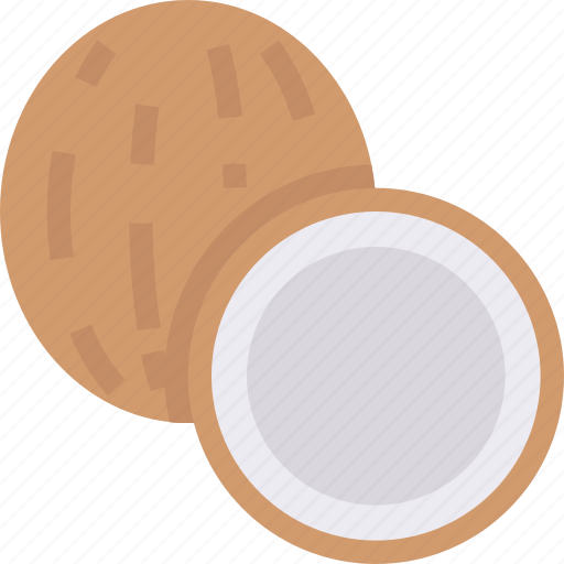 Coconut, food, healthy, organic, sweet icon - Download on Iconfinder