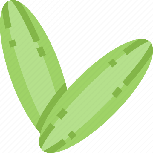 Cucumber, food, healthy, organic, vegetable icon - Download on Iconfinder