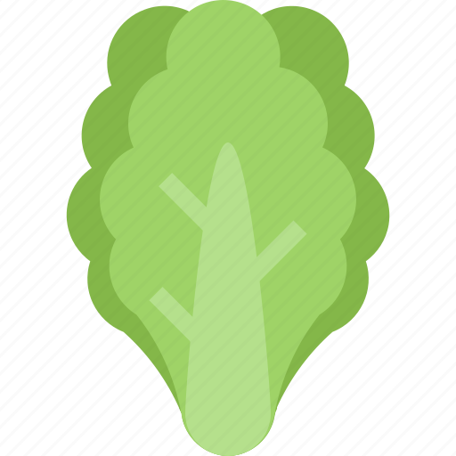Food, healthy, leaves, lettuce, organic, vegetable icon - Download on Iconfinder