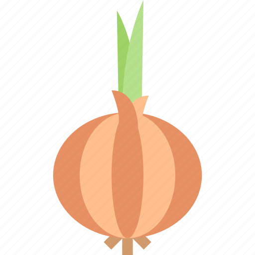 Food, healthy, onion, organic, vegetable icon - Download on Iconfinder