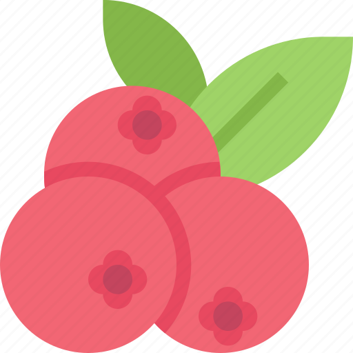 Food, fruit, healthy, organic, raspberries icon - Download on Iconfinder