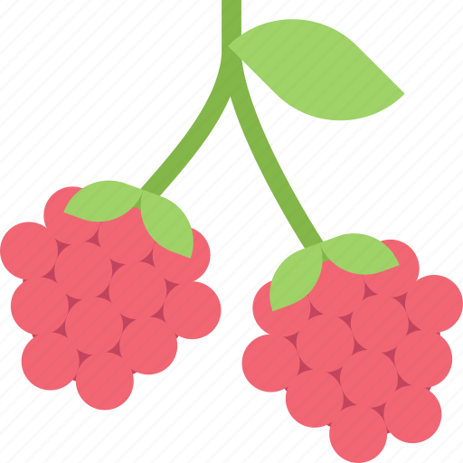 Food, fruit, healthy, organic, raspberry icon - Download on Iconfinder