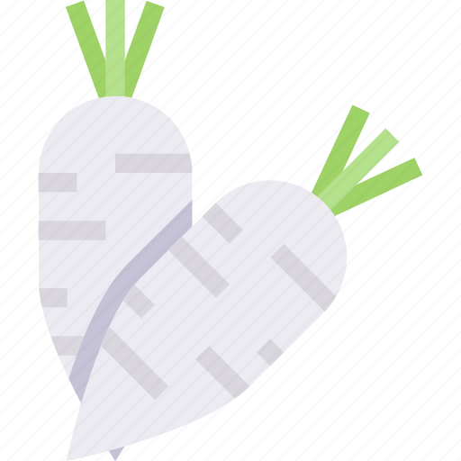 Food, healthy, organic, turnip, vegetable icon - Download on Iconfinder