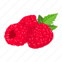 raspberry, berry, healthy, garden, gardening, plant, food