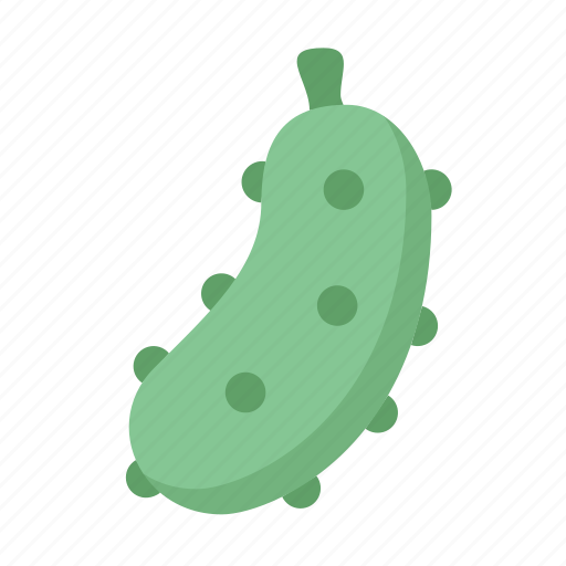 Cucumber, food, vegetable, vegetarian icon - Download on Iconfinder