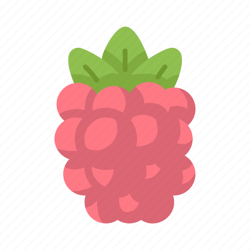 Raspberry, fruit, food, vegetarian icon - Download on Iconfinder