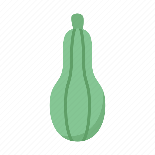 Zucchini, courgette, baby, marrow, squash icon - Download on Iconfinder