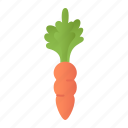 carrot, vegetable, food, vegan