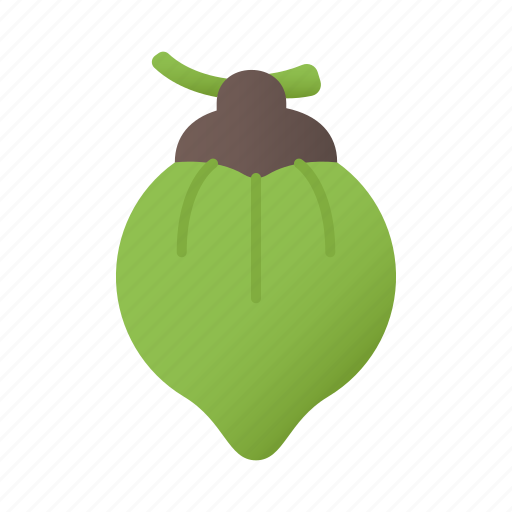 Coconut, fruit, food, vegetarian icon - Download on Iconfinder